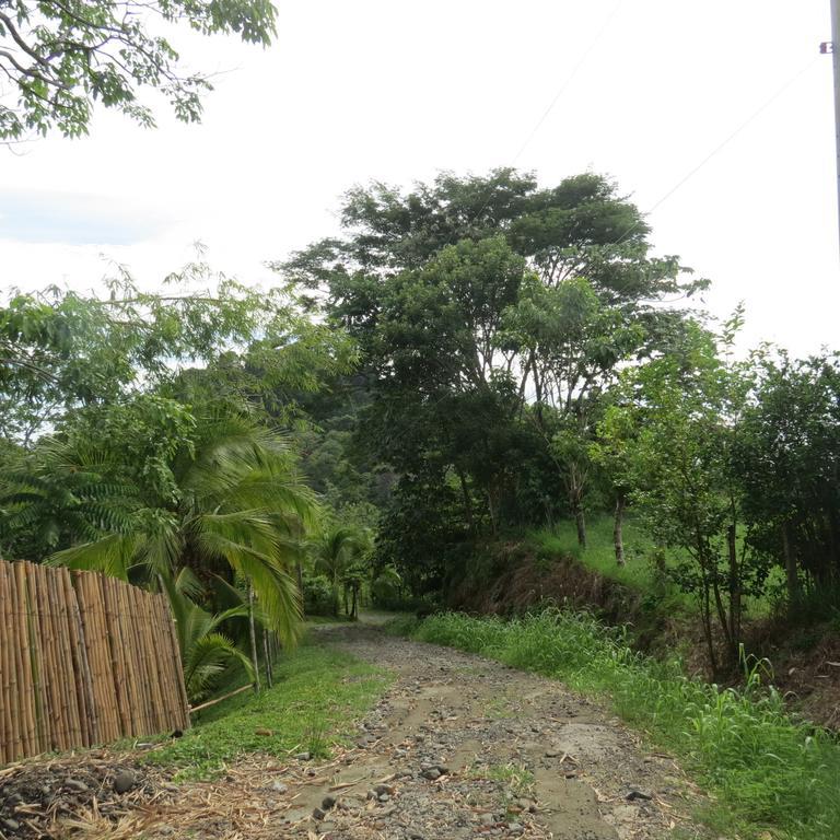 Apartamento Karibu Manuel Antonio Habitación foto