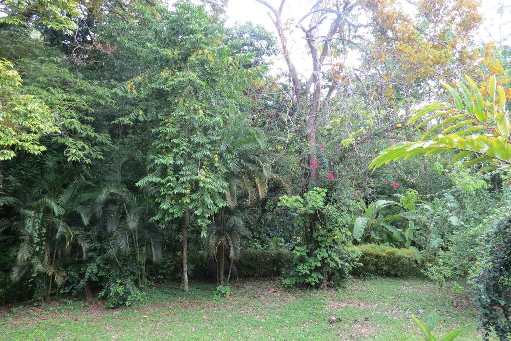 Apartamento Karibu Manuel Antonio Habitación foto