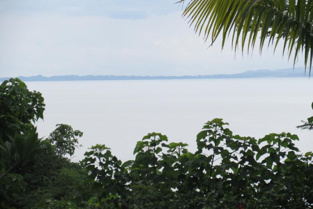 Apartamento Karibu Manuel Antonio Habitación foto